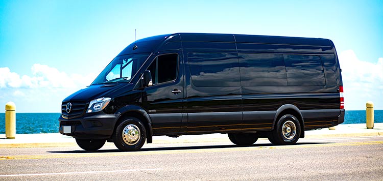 Executive Van - Sprinter